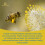 Bee Propolis 1000mg Capsules | HIGH STRENGTH IMMUNE SUPPORT | 30 caps ANTIBIOTIC 4