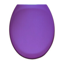 RTS Purple Top Fix Slow-Close Toilet Seat with One-Button Quick-Release (84440) - Duroplast, Adjustable Hinges