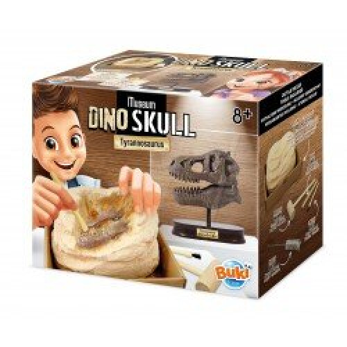 Dinosaur Skull - Tyrannosaurus