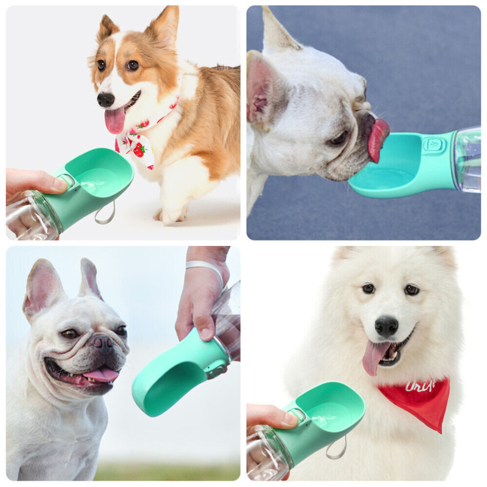 (Green) 300ml Portable Water Cup Bottle Accompanying Kettle Cat Water Dispenser Dog Drinking Cup Travel Pet Supplies