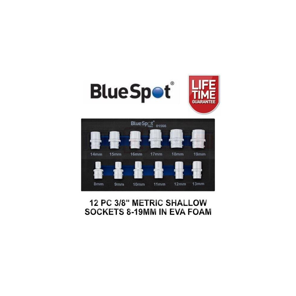 Bluespot 12Pc 3/8" Metric Shallow Sockets 8-19Mm In Eva Foam Tray 12Pt 01566