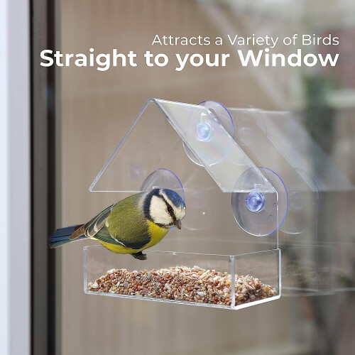 Divchi clear window bird feeding with with Strong Suction plastic cups 1