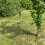 Selections Compost Crank Aerator Stirrer Turning Tool 7
