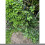 Selections Compost Crank Aerator Stirrer Turning Tool 5