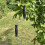Selections Compost Crank Aerator Stirrer Turning Tool 6