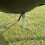 Selections 130 Litre Heavy Duty Garden Tumbling Composter 11