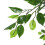 Living And Home (4 ft) Artificial Tree Ficus Tree Fake Plant in Pot 6
