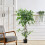 Living And Home (4 ft) Artificial Tree Ficus Tree Fake Plant in Pot 2