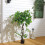 Living And Home (4 ft) Artificial Tree Ficus Tree Fake Plant in Pot 1