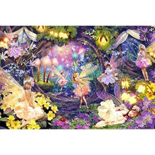 Cross Stitch Kits for Adults Beautiful Fairy Preprinted Pattern Counted Embroidery Starter Kits 14Ct for Beginner Kids and Adults - 40X50Cm