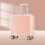 High 18 inches ABS Material Rolling Luggage On 2