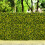 Living And Home Fake Eucalyptus Wall Panel Wall Fence Screen Barrier 3