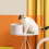 1.8L Waterproof Pet Water Dispenser 5