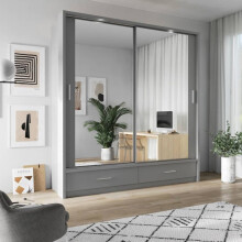 Arti 5A - 2 Sliding Door Wardrobe with 2 Mirrors 200cm in Grey Matt