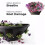 (pack of 1) DIVCHI 18" Wall Hanging Baskets for flower planters 1