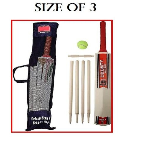 (3) Cricket Set in Mesh Carry Bag