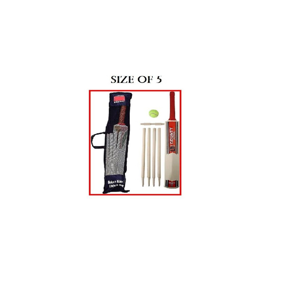 (5) Cricket Set in Mesh Carry Bag