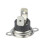 Thermal Circuit Breaker or Switch (70 Degrees) 1