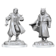 Critical Role Omålade Miniatyrer: Manlig Mänsklig Trollkarl Handlare & Tiger Demon