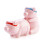 Flavour Mates Salt & Pepper Set (Rude Pigs) 1