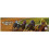 AEG Ready Set Bet Game - Board Game 2