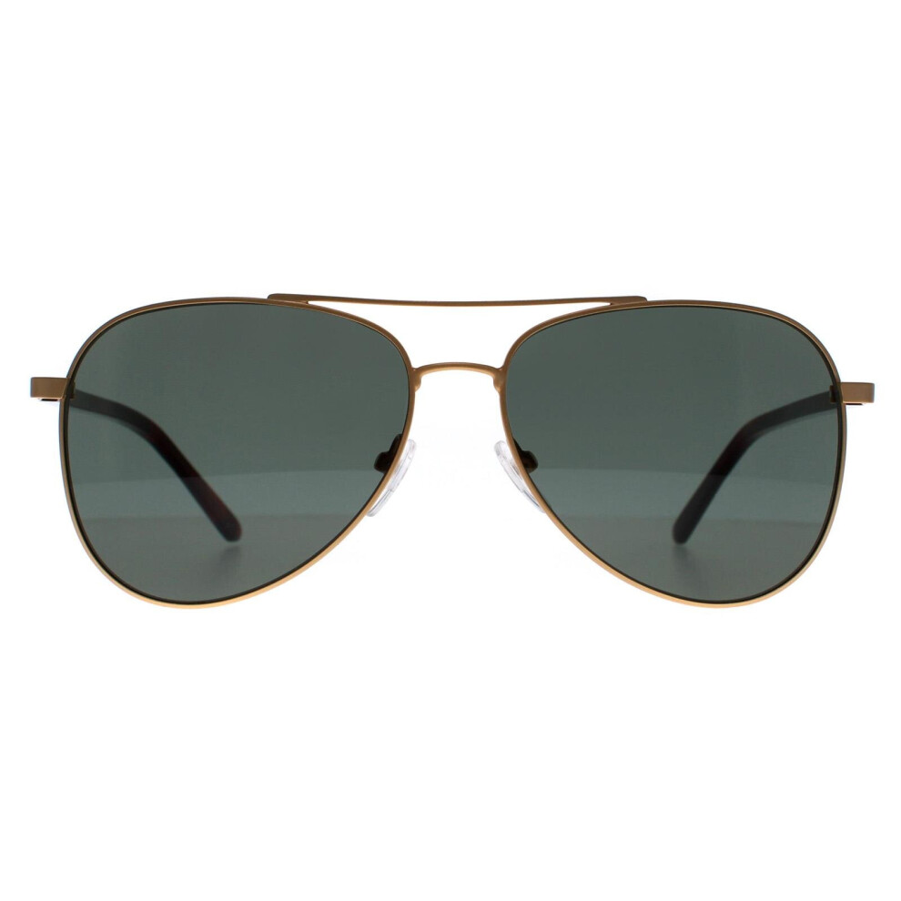 Aviator Satin Gold Green CK21306S