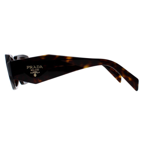 Prada Prada Sunglasses PR17WS 2AU8C1 Tortoise Brown 2