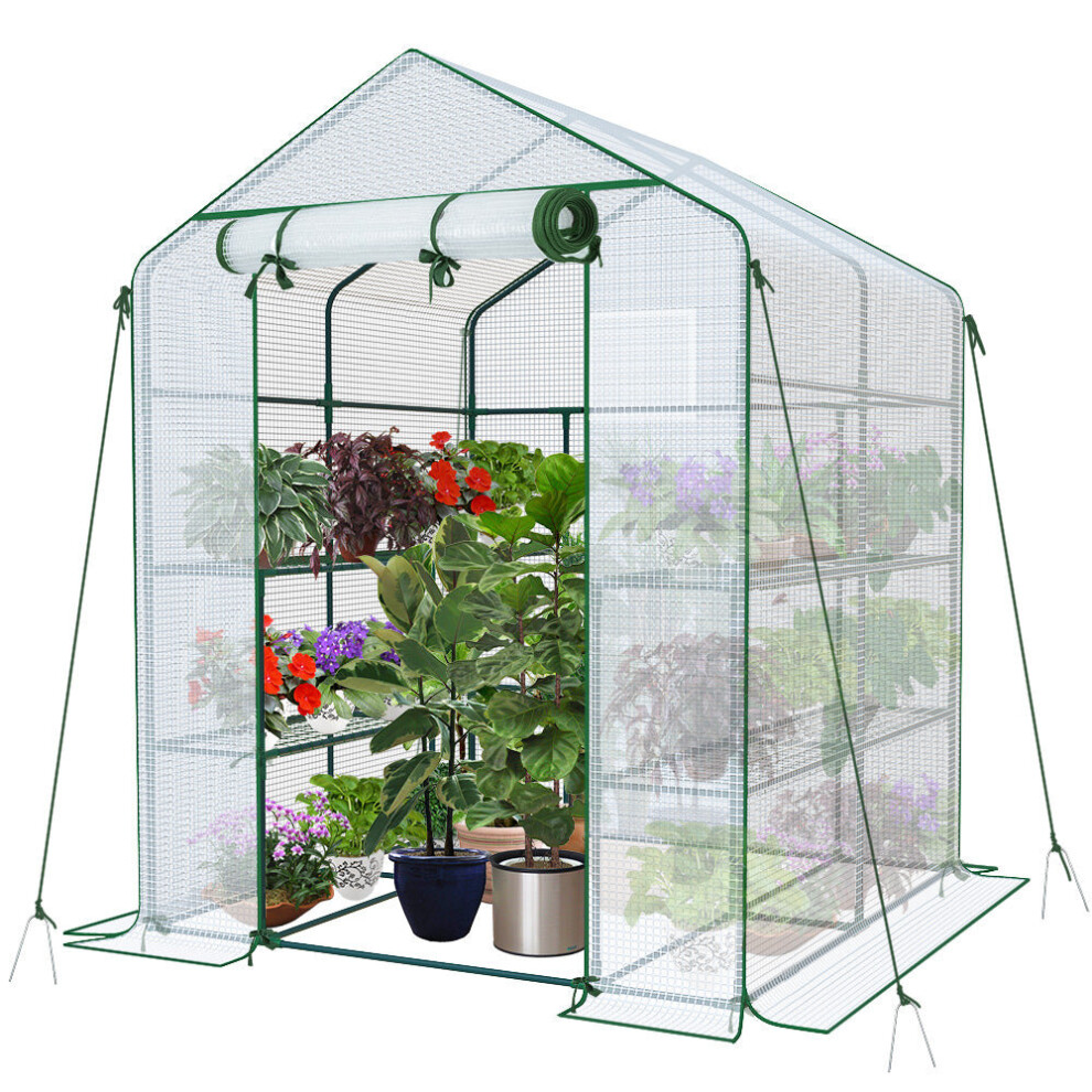 VOUNOT Walk In Greenhouse with Shelves, Roll up Zip Panel Door Garden Plastic Polytunnels Grow House, White 143x143x195cm