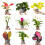 Gardeners Dream Small Baby Mixed Indoor House Plants (3 Plants) 2