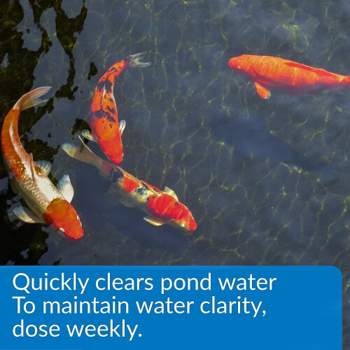 API POND ACCU-CLEAR Pond Water Clarifier 1.89-Litre Bottle 2