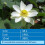 API POND ACCU-CLEAR Pond Water Clarifier 1.89-Litre Bottle 5