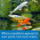 API Pond Master Liquid Test Kit - 64050 4