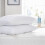 Imperial Rooms (Bounce Back Pillows) Pack of 2 Pillows Standard Pillow Stripe Bounce Back 2