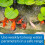 API Pond Master Liquid Test Kit - 64050 5