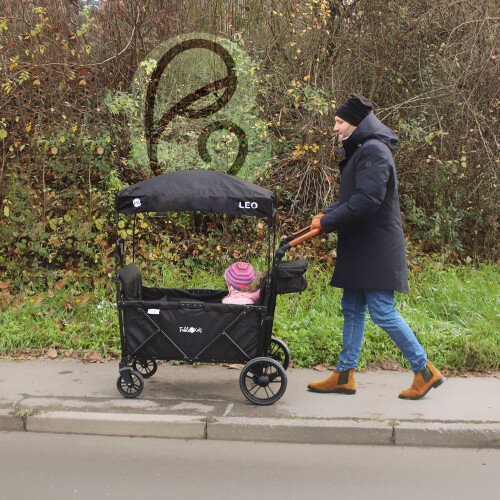 FableKids LEO X4Plus with roof foldable trolley Onyx Black 1