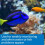 Mars Fishcare Saltwater Master Test Kit - 401M 3
