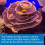 API CALCIUM TEST KIT Saltwater Aquarium Water 1-Count Test Kit 5