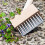 Patio Weeding Brush and Scraper Hand Held Weed Remover Tool Brush 5