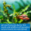 API PH TEST KIT 250-Test Freshwater Aquarium Water pH Test Kit 4