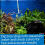 Api 5-in-1 Aquarium Test Strips 4pk 6