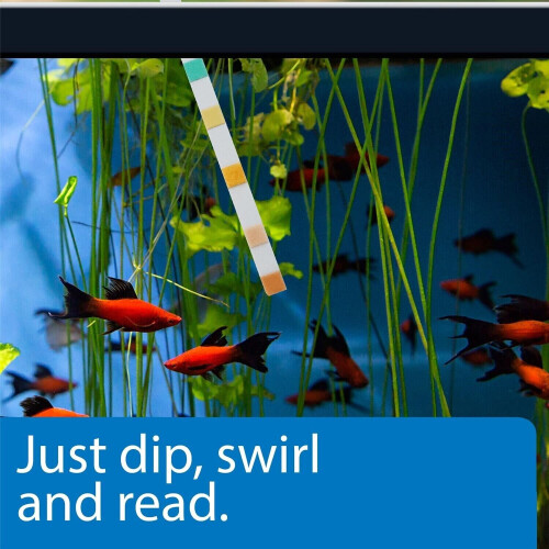 Api 5-in-1 Aquarium Test Strips 4pk 2
