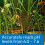 API PH TEST KIT 250-Test Freshwater Aquarium Water pH Test Kit 6