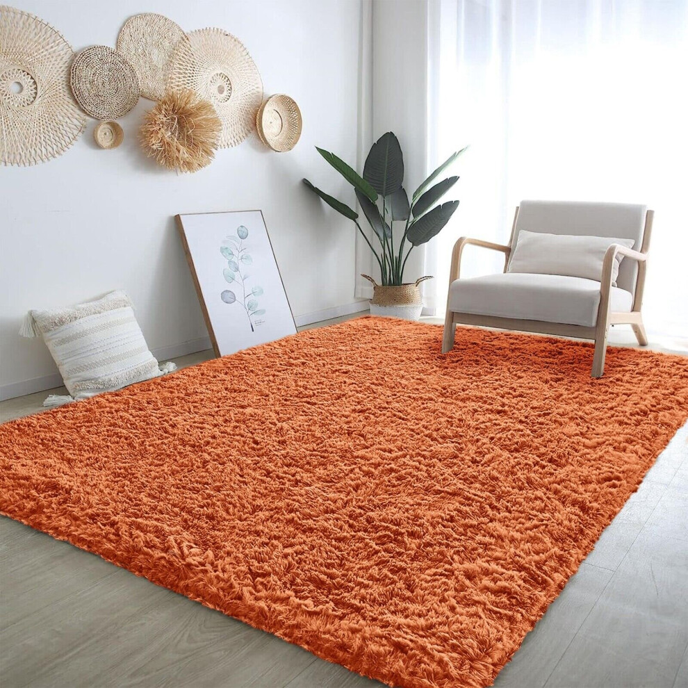 (160cm x 230cm (5ft 4" x 7ft 8")) Fluffy Shaggy Rugs Living Room Runner Carpet Mat