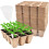 288 Cells Peat Pots Seed Starter Tray,24 Pack Seed Starter Kit,Premium Biodegrad 1