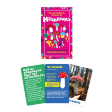 Trivia Cards World Of Mushrooms Novelty Pack Stocking Filler Fact Gift