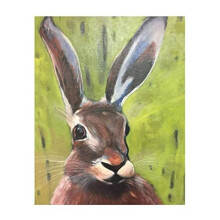 Paint Number Kits - Rabbit Animal Cute Bunny Hare - Paint by Numbers DIY Oil Painting Canvas Print Wall Art Home Decoration 40x50cm