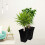 AAMEN Black Large Square Milano Tall Planter 2 Pack, Plastic Plant Pot 5