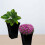AAMEN Black Large Square Milano Tall Planter 2 Pack, Plastic Plant Pot 6