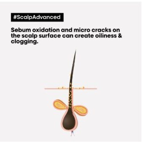 L’Oréal Paris Scalp Advanced Anti-Oiliness 2-in-1 Purifier Clay 500ml 2