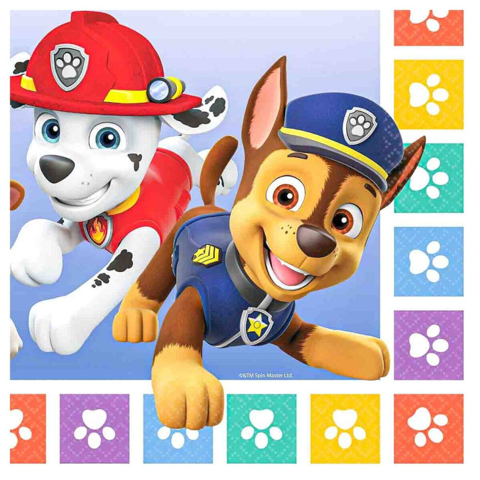 Paw Patrol Lunch Napkin (16)